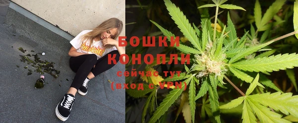 бошки Медногорск
