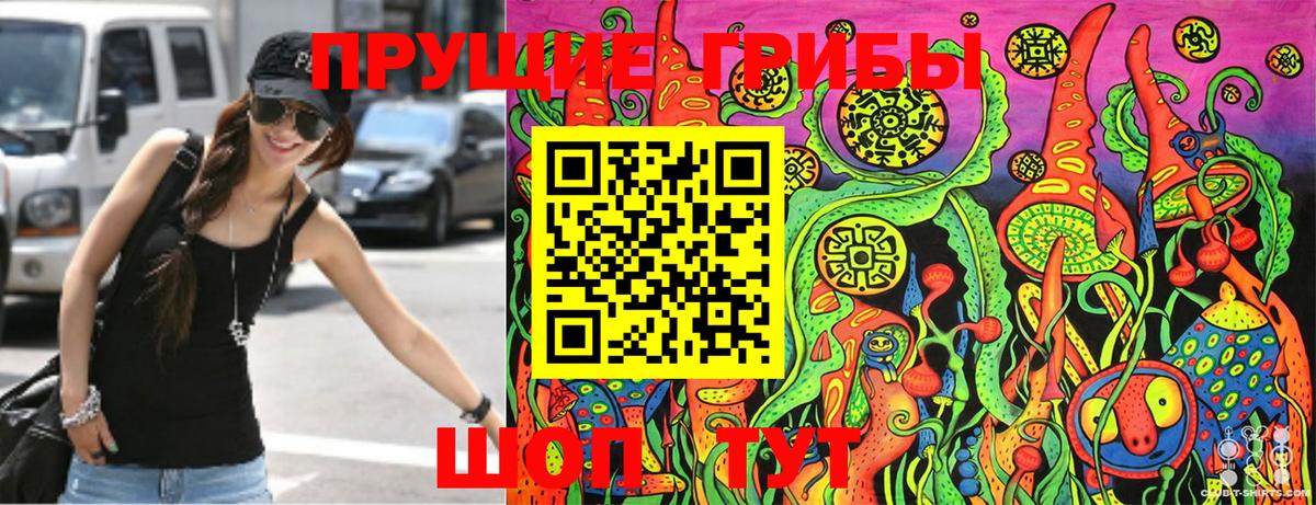 Псилоцибиновые грибы Cubensis Уфа