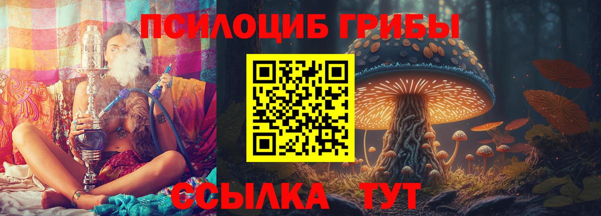 Псилоцибиновые грибы Psilocybine cubensis Уфа